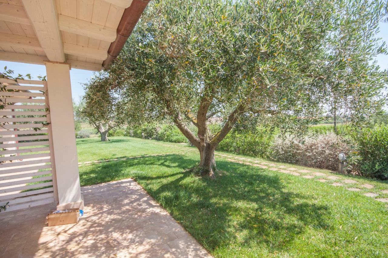 Agriturismo Il Mirto Pescia Romana Zimmer foto
